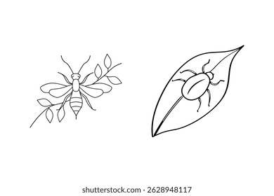 Simple vector illustrations of insects on leaves for decorative design elements and nature themes