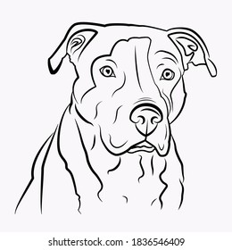 Simple vector image of an American pit bull Terrier. Vector isolated illustration in black color on white background. Image for design and tattoo.