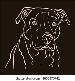 Simple vector image of an American pit bull Terrier. Vector isolated illustration in black color on white background. Image for design and tattoo.