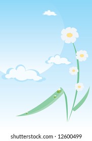 simple vector image of ox-eye daisy
