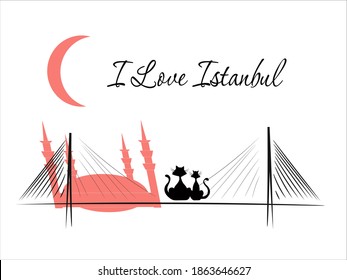 Simple vector image of the symbols of Istanbul.I love Istanbul.Logo, template for business cards, banners.