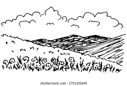 Simple vector ink drawing in engraving style. Summer landscape, flowers in the foreground, the silhouette of mountains on the horizon, clouds, hills, nature, flowering foothills.