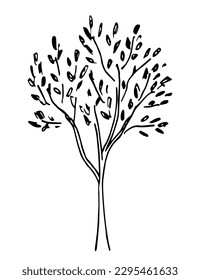 Simple vector ink sketch. Deciduous tree isolated on white background. Doodle black outline drawing. Nature, forest vegetation.