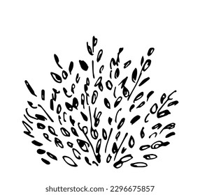 Simple vector ink sketch. Lush deciduous bush isolated on white background. Nature and vegetation.