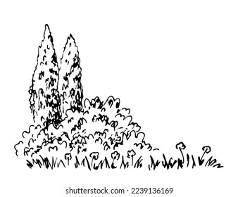 Simple vector ink sketch. Nature, summer landscape. Cypress trees, bushes, grass and flowers.