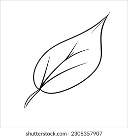 
simple vector leaves made into anything you like
