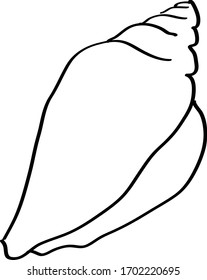 simple vector line art of seashell