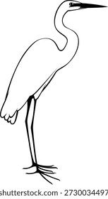 
Dibujo negro de línea de Vector simple de una gran garceta de pie.