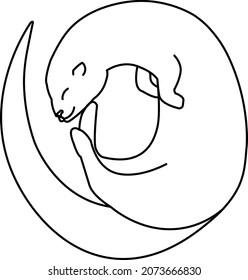 simple vector line illustration of a curled otter