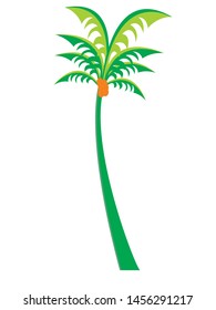 a simple vector of one tropical plant coconut tree with a white background