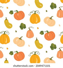 A simple vector pattern of autumn vegetable elements. Autumn elements of the drawing with illustrations of pumpkins. Autumn pumpkin vegetables of different sizes on a white background. Nature illustra