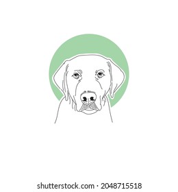 
Simple vector pet with line art illustration, eps10