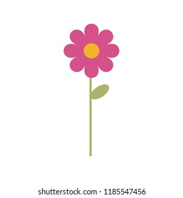 Simple vector of a pink and yellow daisy with a branch and green leaves.