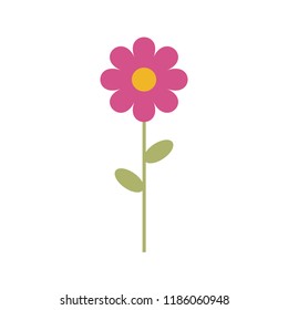 Simple vector of a pink and yellow daisy with a branch and green leaves.