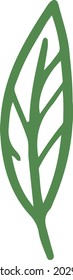 Simple vector plant element like leaf 
