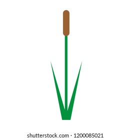 Simple vector of a reed with a brown cocoon.