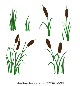 simple vector  reed mace four types