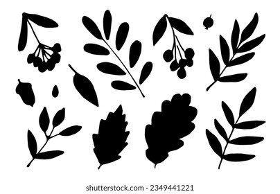 Simple vector set for autumn design. Black silhouette of leaves, branches, rowan berries, acorn.