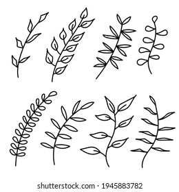 Simple vector set of branch sketch elements for natural design.