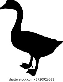 a simple vector silhouette image of a swan on a white background