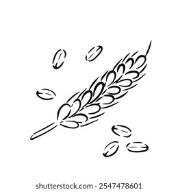 Simple vector sketch ear of wheat isolated on white background.