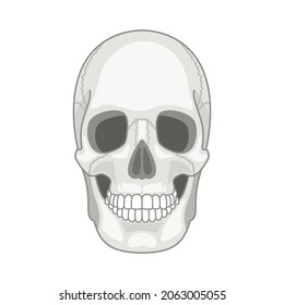 Simple vector skull. Skulls face icon, lines black halftone doodle death face, minimalistic poison cranium smile, spooky doodle vector image isolated on white