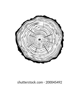 Simple vector tree trunk in a cut.
