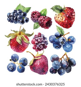 simple vector watercolor set of mix berry fruits