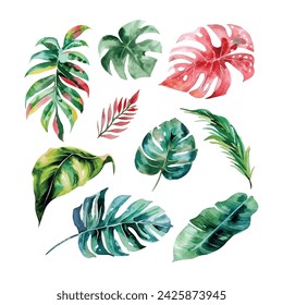 simple vector watercolor set of tropical leaves