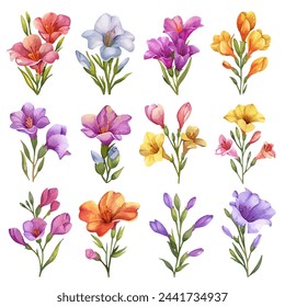 simple vector watercolour set of beautiful freesia flower