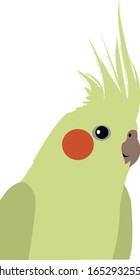 It is a simple vectorial cockatiel bird