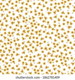 Simple vintage pattern. Mustard plants flowers . White background. Vector texture. Fashionable print for textiles and Wallpaper.