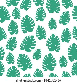 Simple vintage pattern. Small green leaves of monstera. White background. Vector texture. Elegant fashion print for Wallpaper.