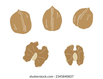 Simple Walnut Set Material, Vector