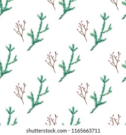 Simple watercolor winter pattern of green fir branches and red berries on a white background. Christmas hand drawn endless backdrop.