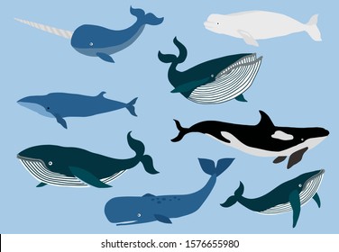 Simple whale character.Vector illustration character doodle cartoon