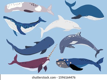 Simple whale character.Vector illustration character doodle cartoon