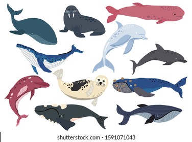 Simple whale,dolphin,sea lion character.Vector illustration character doodle cartoon