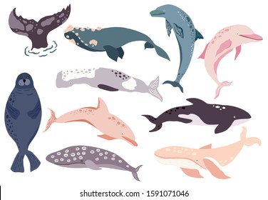 Simple whale,dolphin,sea lion character.Vector illustration character doodle cartoon