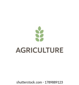 Simple wheat logo agriculte icon vector design