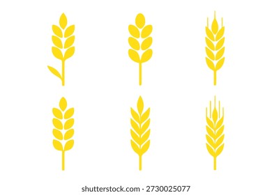 

Simple wheat stalk illustrations for natural food design and rural agriculture themes