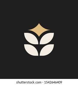 Simple wheat with star illustration for logo template design.