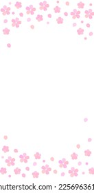 Simple white background frame of cherry blossoms and petals