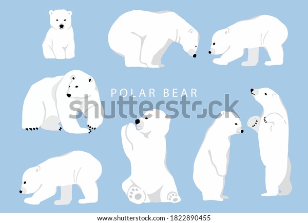 Simple White Bear Charactervector Illustration Character Stock Vector 