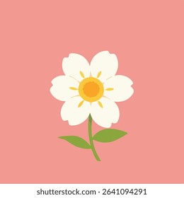 Simple White Flower Illustration on Pink Background