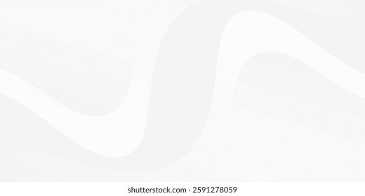 Simple white and gray background with gradient color and artistic dynamic line decoration background abstract simple