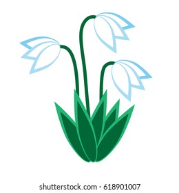 simple white and green snowflake flower vector illustration isolated on white background