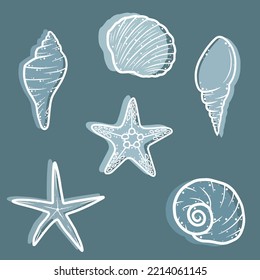 Simple white line colorful shell collection, vector art.
