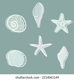Simple white line colorful shell collection, vector art.