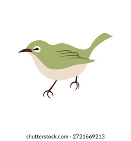 Simple White-eye Spring Wild Bird
